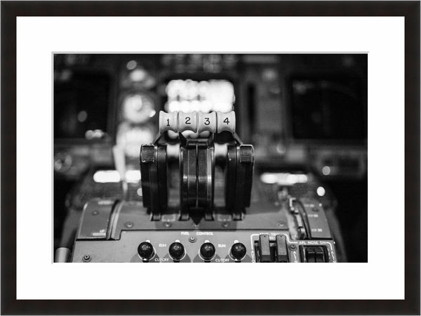 Image shown in Black Onyx frame with white mat