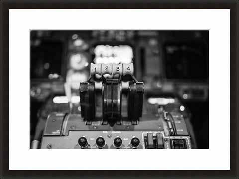Image shown in Black Onyx frame with white mat
