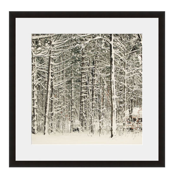 Image shown in Black Onyx frame with white mat