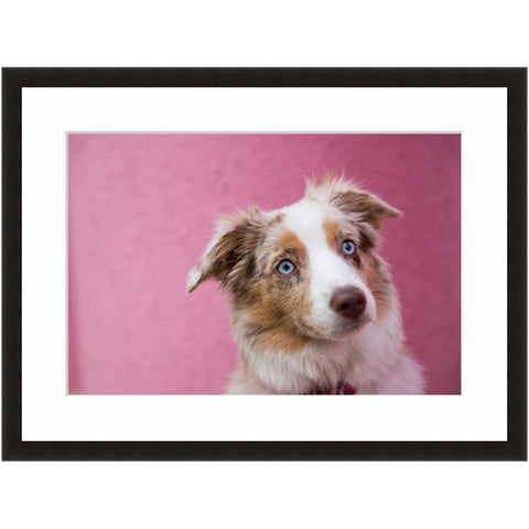 Image shown in Black Onyx frame with white mat