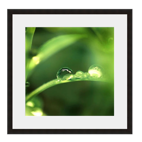 Image shown in Black Onyx frame with white mat