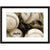 Image shown in Black Onyx frame with white mat