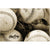 Unframed Image