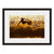 Image shown in Black Onyx frame with white mat