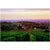 Burgundy Vineyard  - Fine Art Photograph by Andy Katz  - Framed Wall Art