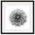 Dahlia  - Fine Art Photograph by Beth Forester  - Framed Wall Art