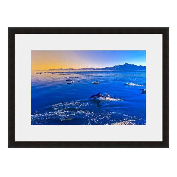 Image shown in Black Onyx frame with white mat