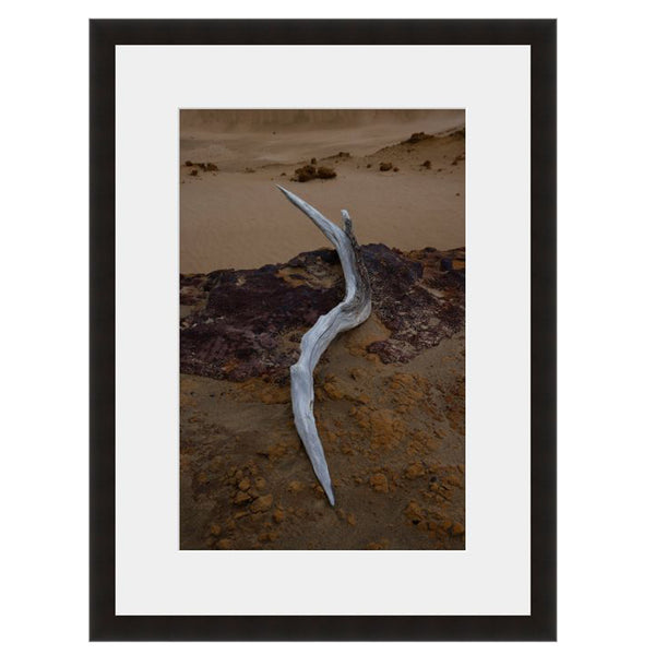 Driftwood  - Fine Art Photograph by Andy Katz  - Framed Wall Art