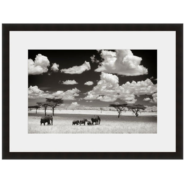 Image shown in Black Onyx frame with white mat