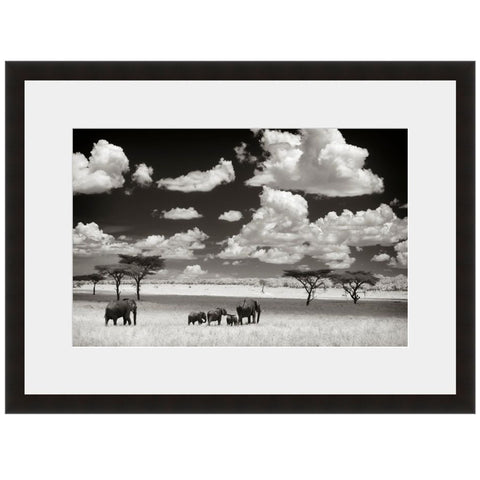 Image shown in Black Onyx frame with white mat