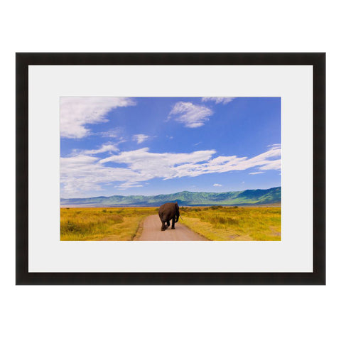 Image shown in Black Onyx frame with white mat