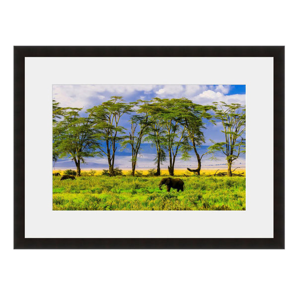 Image shown in Black Onyx frame with white mat