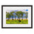 Image shown in Black Onyx frame with white mat