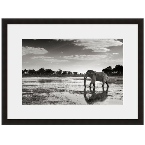 Image shown in Black Onyx frame with white mat