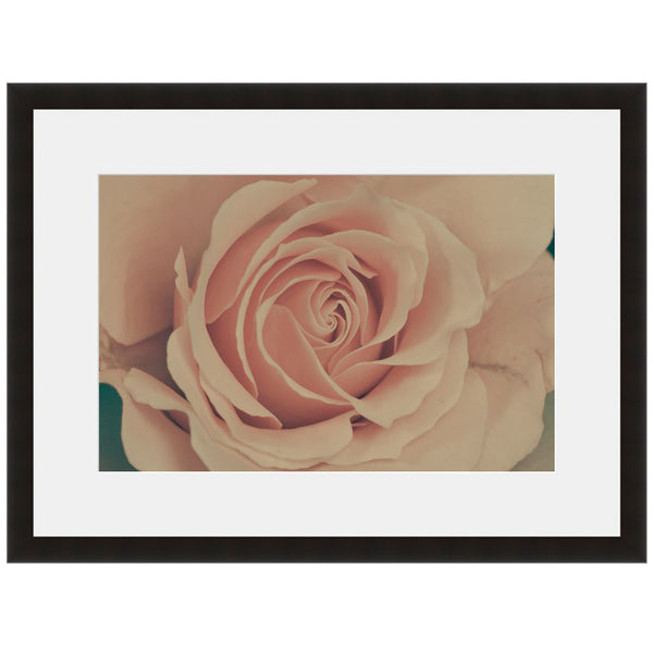 Image shown in Black Onyx frame with white mat