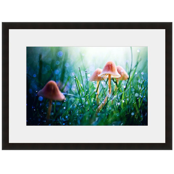 Image shown in Black Onyx frame with white mat