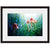 Image shown in Black Onyx frame with white mat