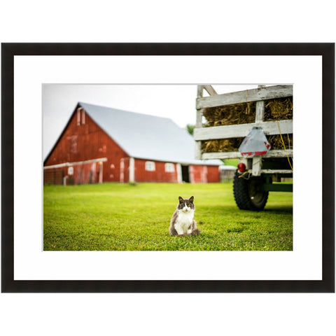 Image shown in Black Onyx frame with white mat