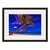 Image shown in Black Onyx frame with white mat