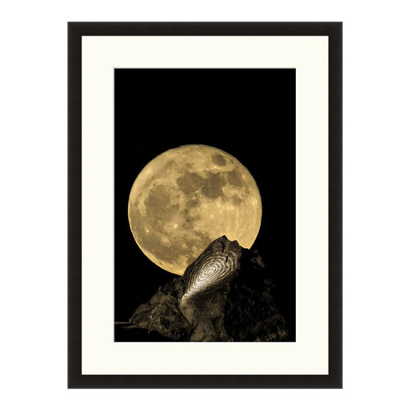 Full Circle  - Fine Art Photograph by Howard Paley  - Framed Wall Art
