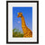 Image shown in Black Onyx frame with white mat