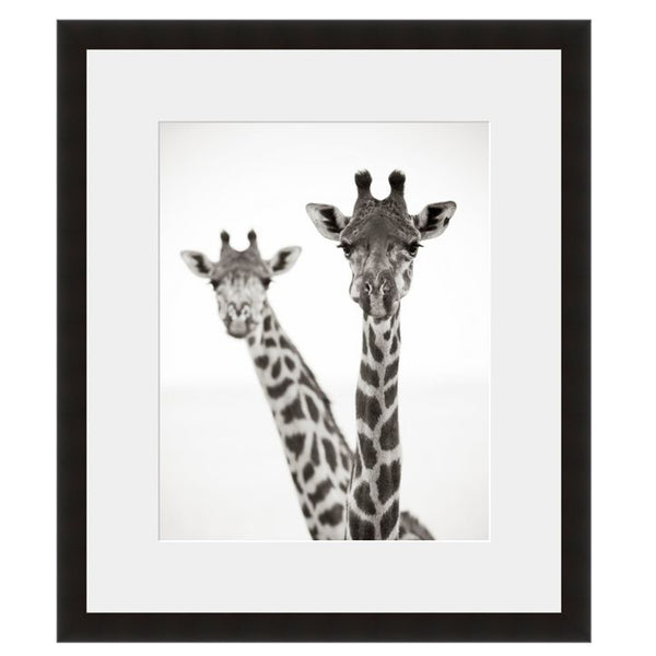 Image shown in Black Onyx frame with white mat
