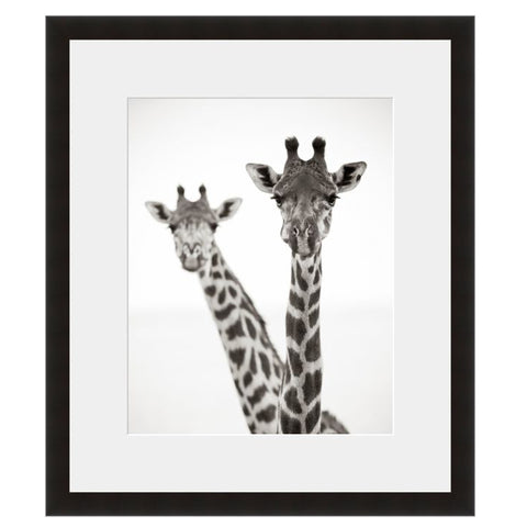 Image shown in Black Onyx frame with white mat