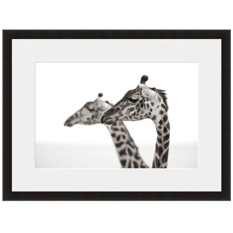 Image shown in Black Onyx frame with white mat