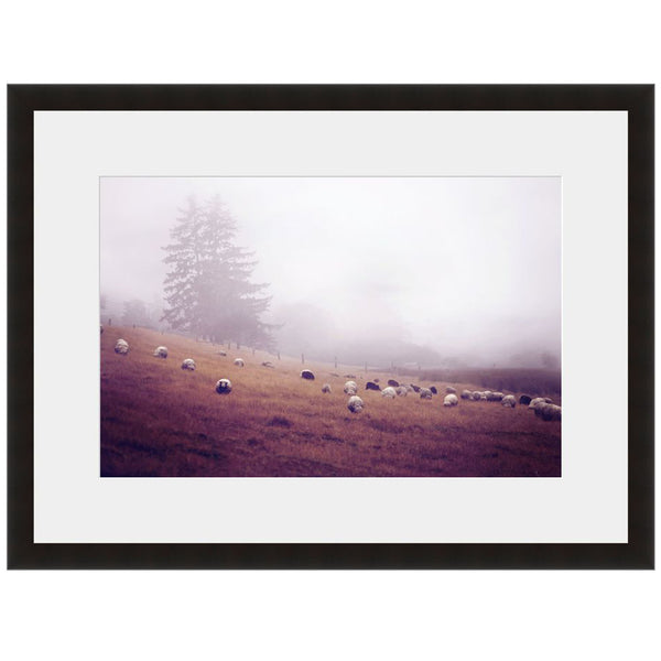 Image shown in Black Onyx frame with white mat