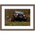 Unframed Image