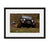 Image shown in Black Onyx frame with white mat