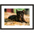 Image shown in Black Onyx frame with white mat