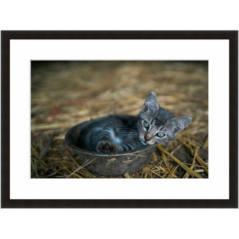 Image shown in Black Onyx frame with white mat