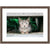 Unframed Image