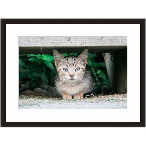 Image shown in Black Onyx frame with white mat