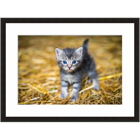 Image shown in Black Onyx frame with white mat
