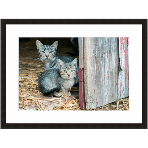 Image shown in Black Onyx frame with white mat