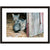 Image shown in Black Onyx frame with white mat