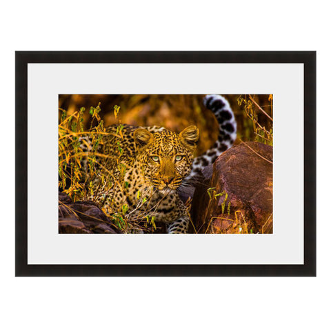 Image shown in Black Onyx frame with white mat