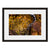 Image shown in Black Onyx frame with white mat