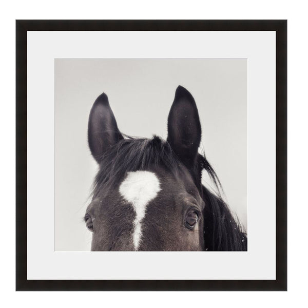 Image shown in Black Onyx frame with white mat