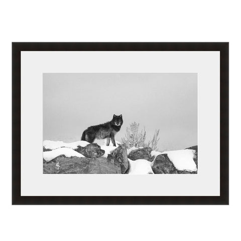 Image shown in Black Onyx frame with white mat