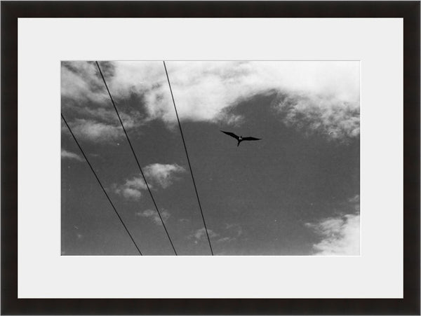 Image shown in Black Onyx frame with white mat