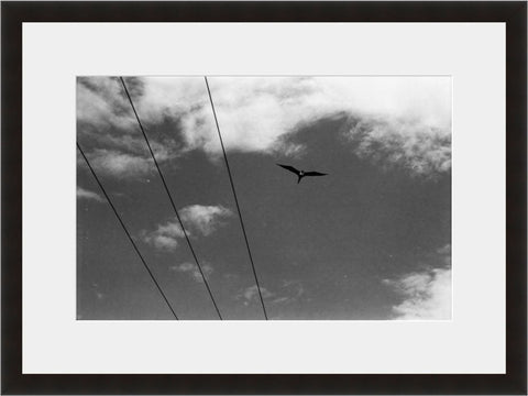 Image shown in Black Onyx frame with white mat