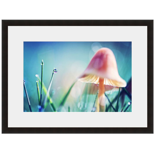 Image shown in Black Onyx frame with white mat