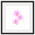 Orchid Trio  - Fine Art Photograph by Beth Forester  - Framed Wall Art
