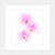 Orchid Trio  - Fine Art Photograph by Beth Forester  - Framed Wall Art