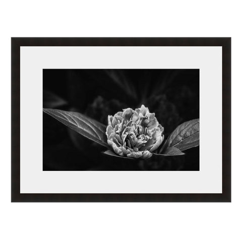 Image shown in Black Onyx frame with white mat