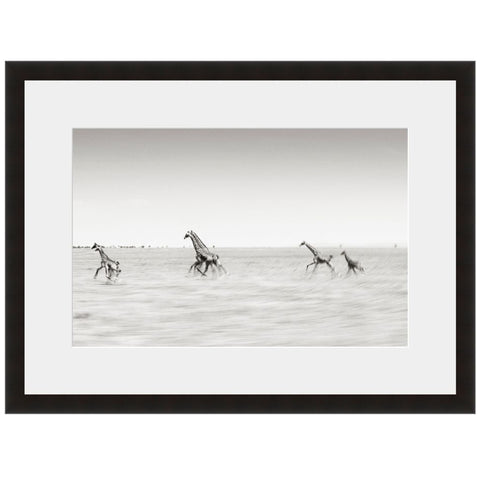 Image shown in Black Onyx frame with white mat