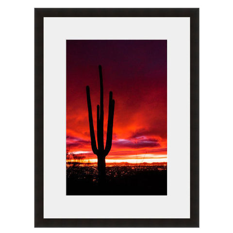 Image shown in Black Onyx frame with white mat